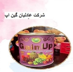 شرکت عادلیان گین اپ