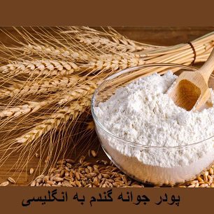 پودر جوانه گندم به انگلیسی